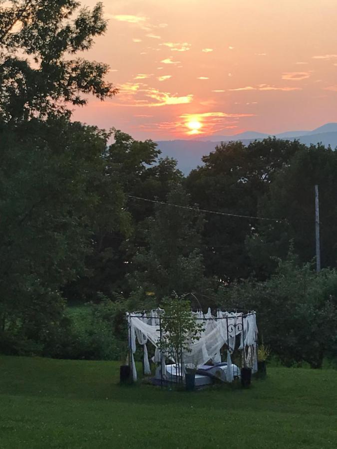 Sainte-Famille Gite Au Toit Bleu Bed & Breakfast エクステリア 写真