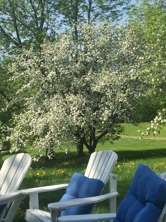 Sainte-Famille Gite Au Toit Bleu Bed & Breakfast エクステリア 写真
